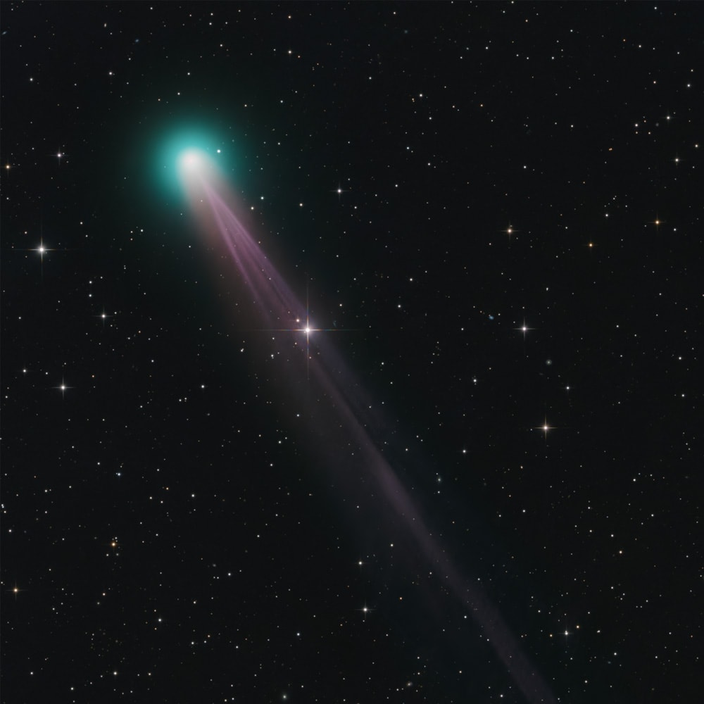 Coins coming out of phone