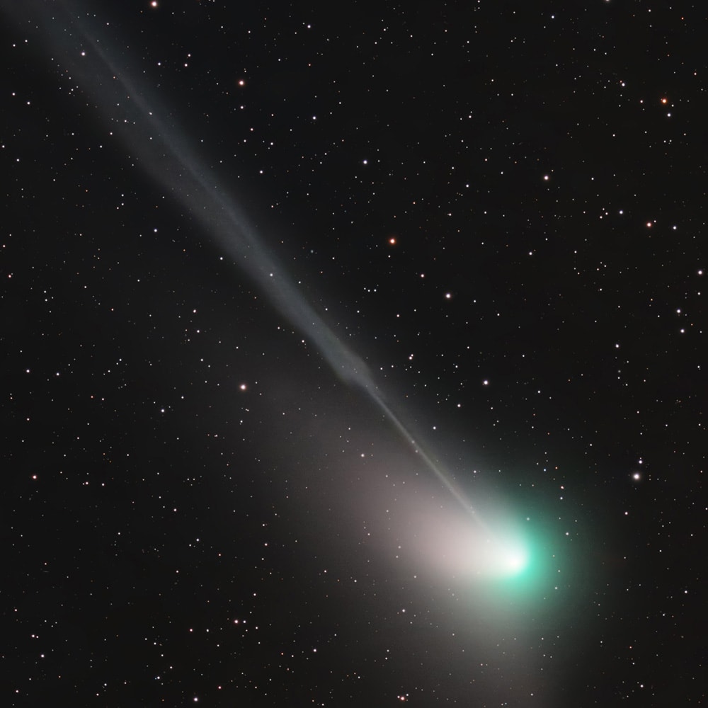 Coins coming out of phone