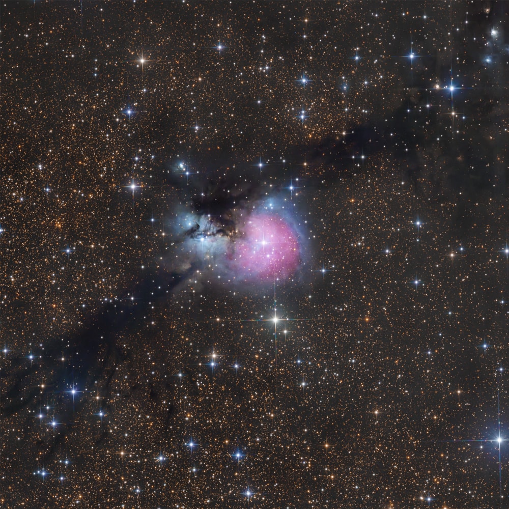 Coins coming out of phone