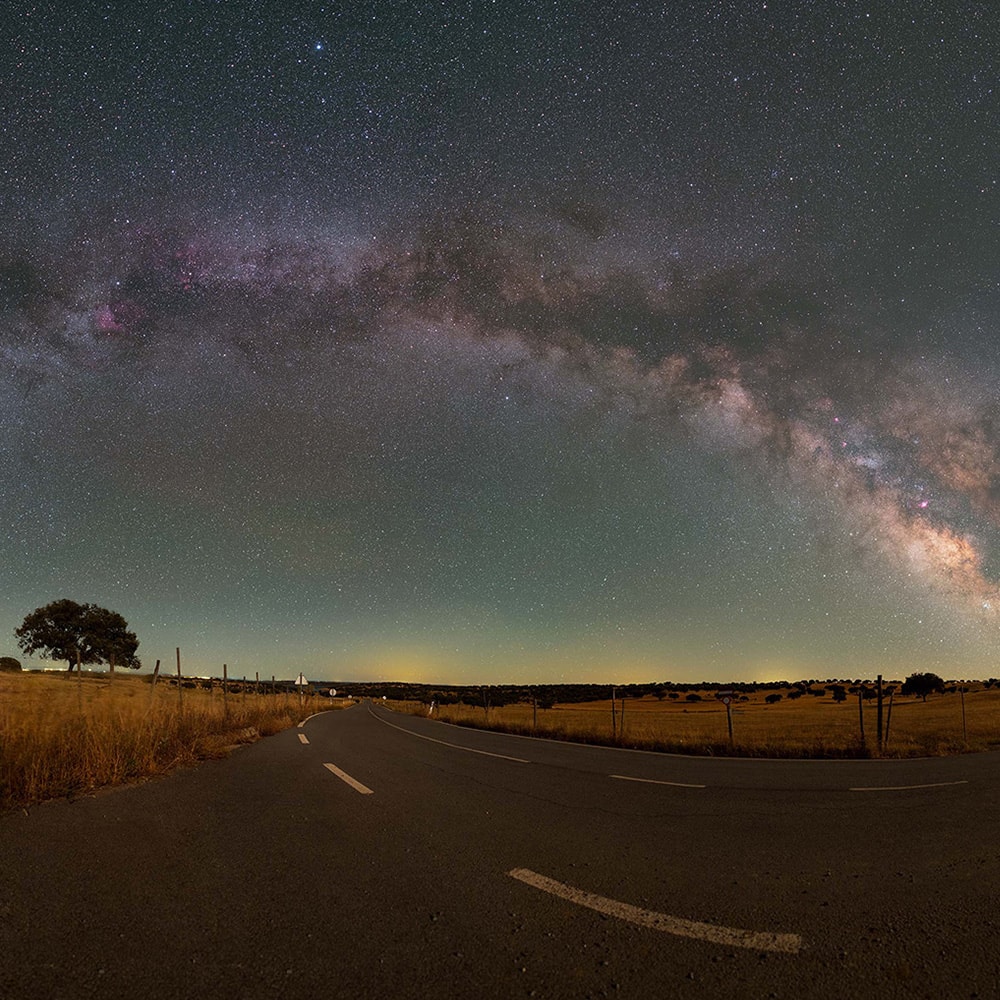 Coins coming out of phone