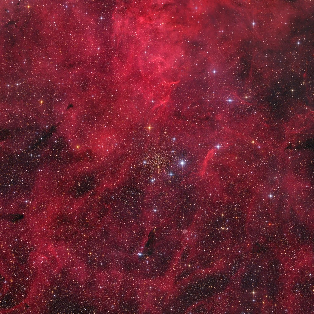 Coins coming out of phone