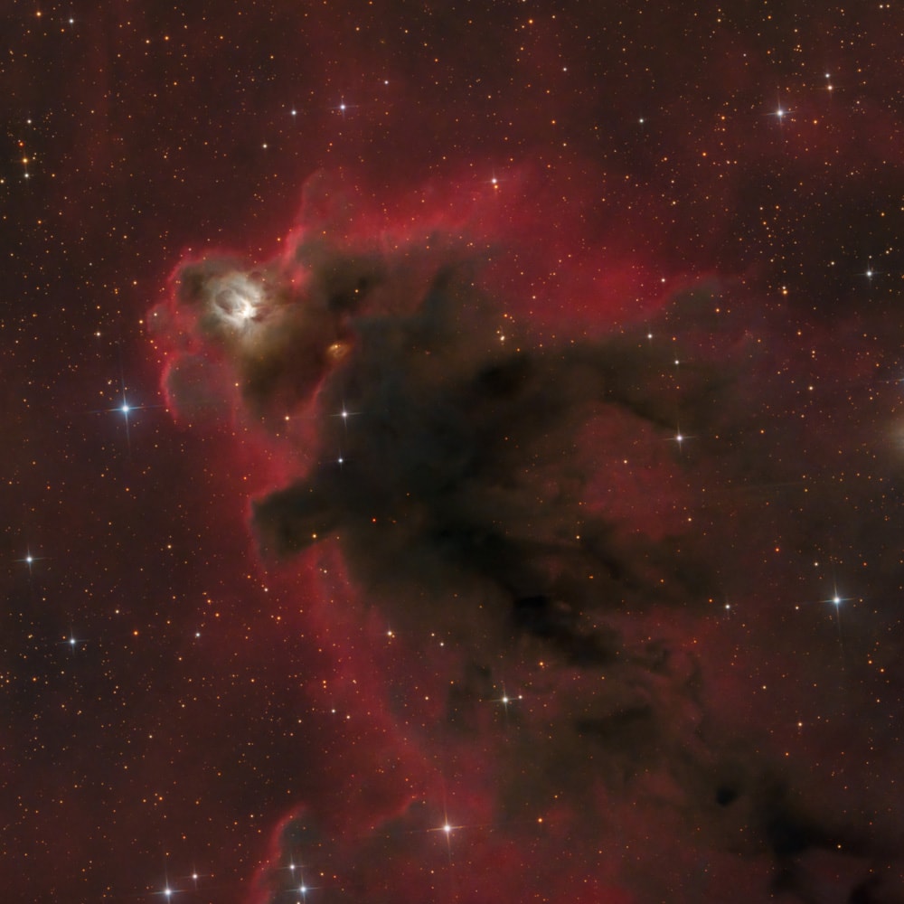 Coins coming out of phone